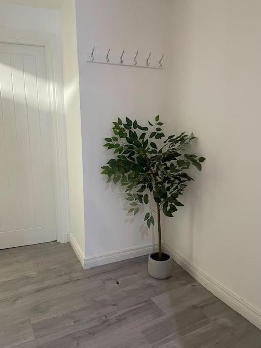 Modern 1-Bed Apartment Belfast Eksteriør billede