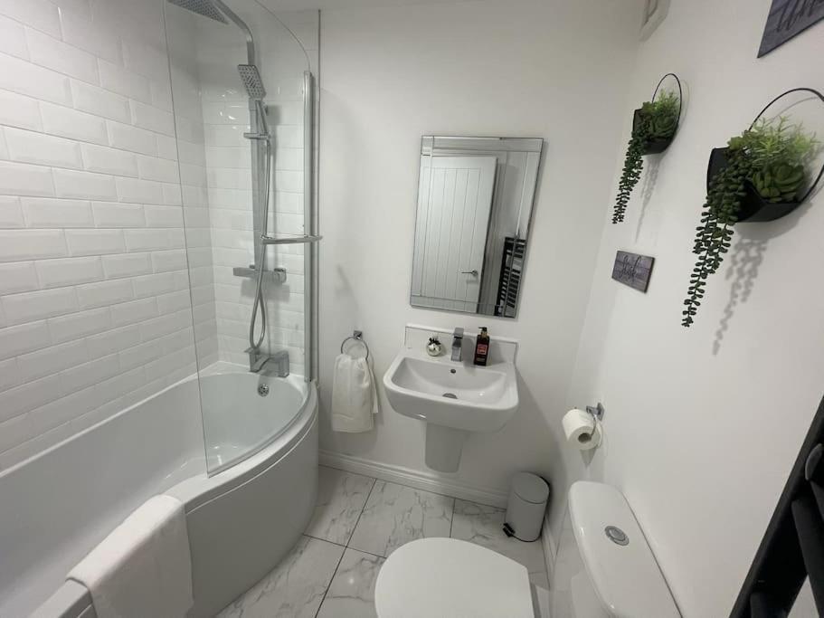 Modern 1-Bed Apartment Belfast Eksteriør billede